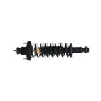 Suspension Strut Assembly