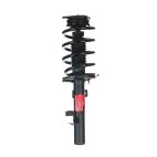 Suspension Strut Assembly