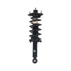 Suspension Strut Assembly