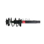 Suspension Strut Assembly
