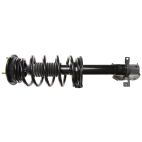 Suspension Strut Assembly