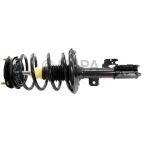 Suspension Strut Assembly