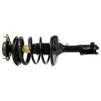 Suspension Strut Assembly