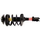 Suspension Strut Assembly