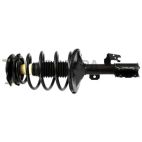 Suspension Strut Assembly