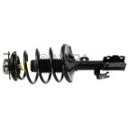 Suspension Strut Assembly
