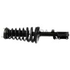 Suspension Strut Assembly