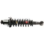 Suspension Strut Assembly