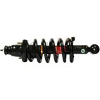 Suspension Strut Assembly
