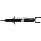 Suspension Strut