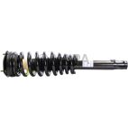 Suspension Strut Assembly