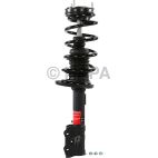 Suspension Strut Assembly