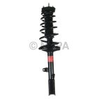 Suspension Strut Assembly