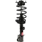 Suspension Strut Assembly