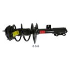 Suspension Strut Assembly