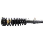 Suspension Strut Assembly