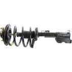 Suspension Strut Assembly