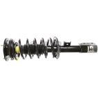 Suspension Strut Assembly