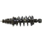 Suspension Strut Assembly