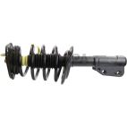 Suspension Strut Assembly