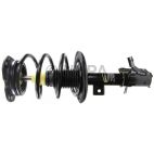 Suspension Strut Assembly