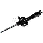Suspension Strut