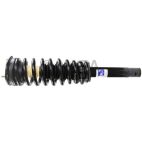 Suspension Strut Assembly