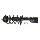 Suspension Strut Assembly