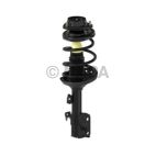Suspension Strut Assembly