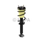 Suspension Strut Assembly