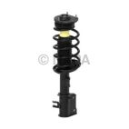 Suspension Strut Assembly