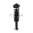 Suspension Strut Assembly