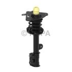 Suspension Strut Assembly
