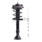 Suspension Strut Assembly