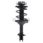 Suspension Strut Assembly