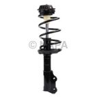 Suspension Strut Assembly