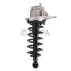 Suspension Strut Assembly