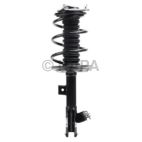 Suspension Strut Assembly
