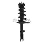 Suspension Strut Assembly