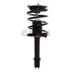 Suspension Strut Assembly