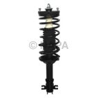 Suspension Strut Assembly