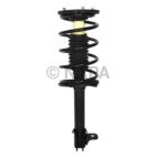 Suspension Strut Assembly