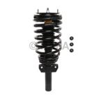Suspension Strut Assembly