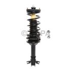 Suspension Strut Assembly