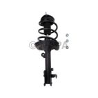 Suspension Strut Assembly