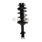 Suspension Strut Assembly