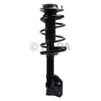 Suspension Strut Assembly