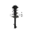 Suspension Strut Assembly