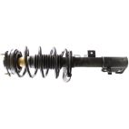 Suspension Strut Assembly