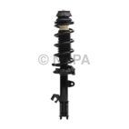 Suspension Strut Assembly
